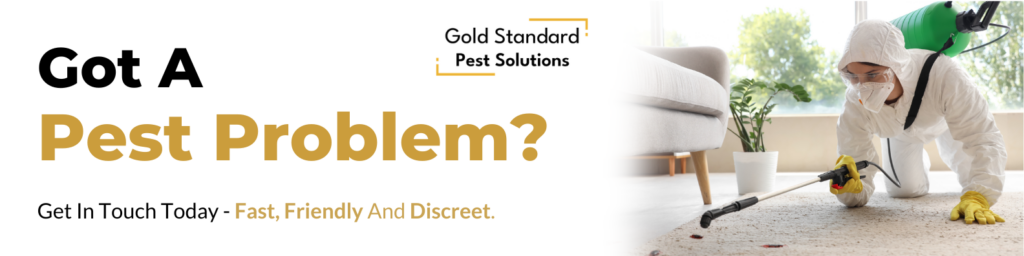 pest control kent